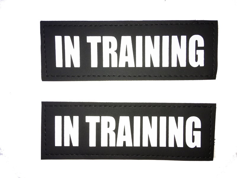 Albcorp Reflective in Training Patches with Hook Backing for Service Animal Vests/Harnesses XXS or Extra Small (3.5 X 1) Inch - Image 1